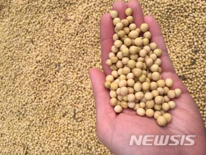 올해 콩·팥 정부 보급종 신청 2일부터 시작