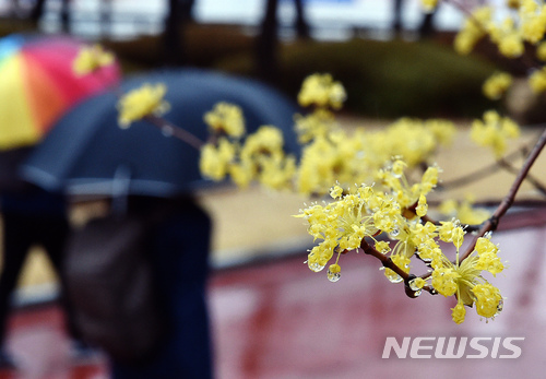 4월 첫날 봄비로 시작…미세먼지 '보통'