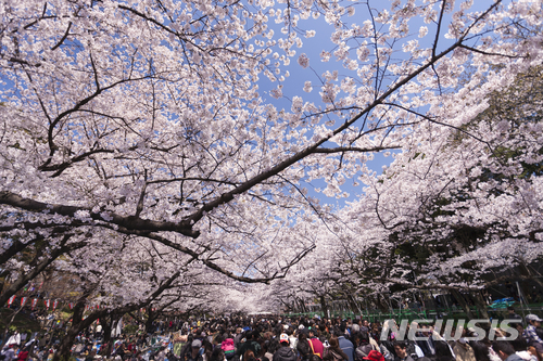 【서울=뉴시스】일본 도쿄 우에노 공원. (사진=트립닷컴 제공)