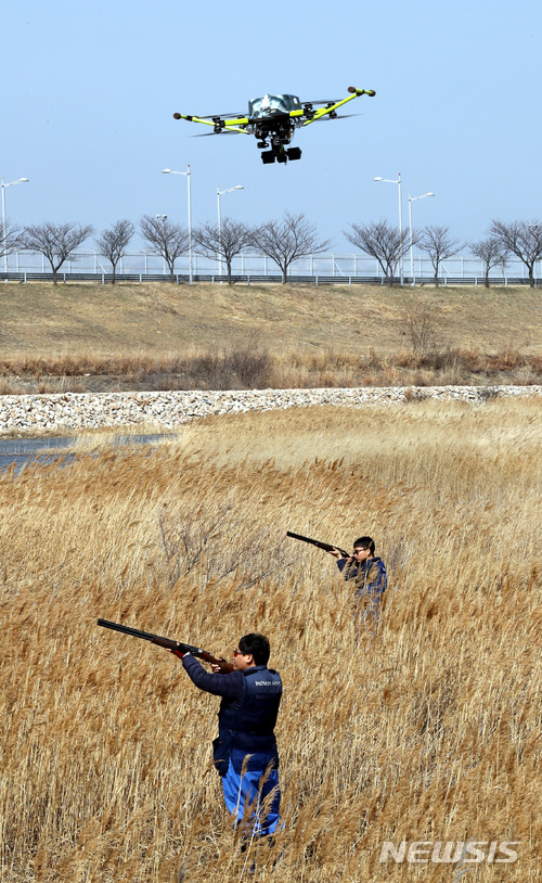 [인천공항=뉴시스] 홍찬선 기자 = 22일 오후 인천 중구 영종도 조류 서식지에서 인천공항 조류퇴치 전담팀원들이 조류가 항공기에 부딧치거나 엔진 속으로 빨려들어가는 일명 '버드 스트라이크'를 막기 위해 드론(무인비행장치)을 활용한 조류 퇴치 시연을 하고 있다. 2018.03.22. mania@newsis.com