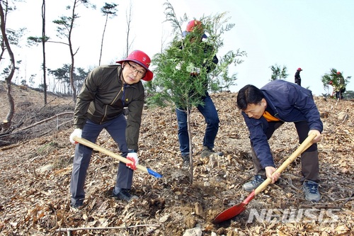 【대구=뉴시스】배소영 기자 = 대구시 북구가 내년부터 2023년까지 총 100만 그루의 나무를 심는다. 2018.10.22.(뉴시스DB) photo@newsis.com