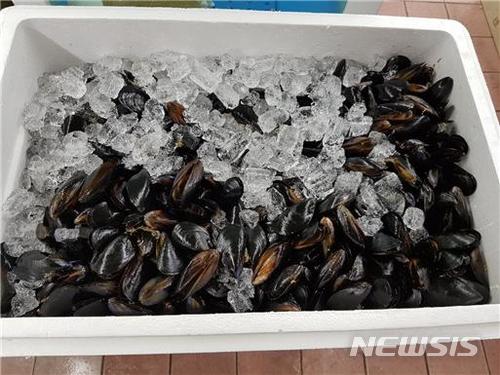 【서울=뉴시스】패류독소 홍합. (제공 = 해수부)