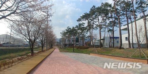 【증평=뉴시스】김재광 기자 = 충북 증평군이 연천천과 증평생활체육공원 일원에 조성한 '왕벚나무 가로수 길'이 산책 명소로 인기를 끌고 있다.2018.04.03.(사진=증평군 제공) photo@newsis.com