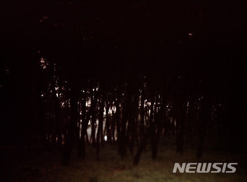 【서울=뉴시스】 정제된 풍경 