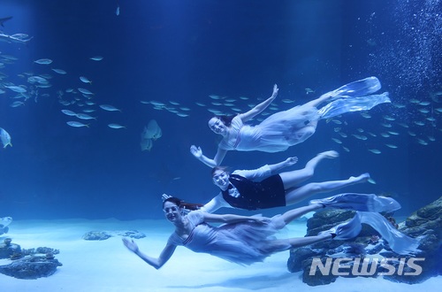 【대구=뉴시스】박준 기자 = 얼라이브 아쿠아리움 대구 수중공연. 2018.04.04(사진=얼라이브 아쿠아리움 대구 제공)photo@newsis.com