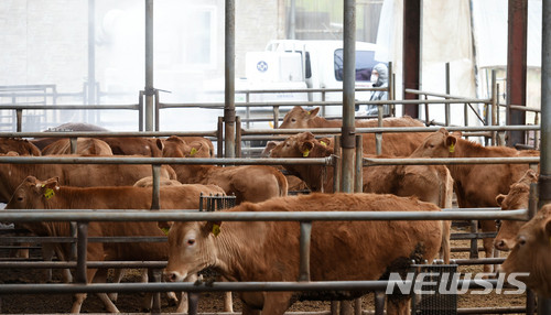 농식품부, 연내 스마트 축사 422곳 더 늘린다&nbsp; 