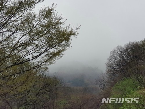 【칠곡=뉴시스】박준 기자 = 5일 오후 2시38분께 경북 칠곡군 가산면 학하리 골프장 가산CC 인근에 공군 전투기 F-15K 전투기가 추락했다. 사진은 전투기가 추락한 유학산 모습이다. 2018.04.05(사진=독자 제공) photo@newsis.com 