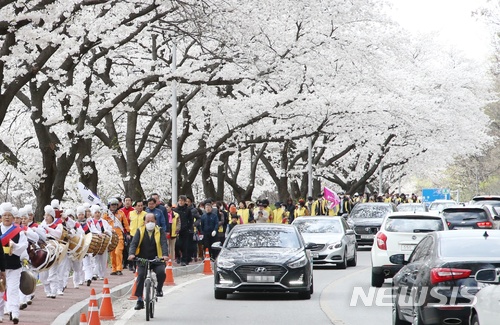 [충주=뉴시스] 충주댐 벚꽃축제. (사진=뉴시스 DB). photo@newsis.com 