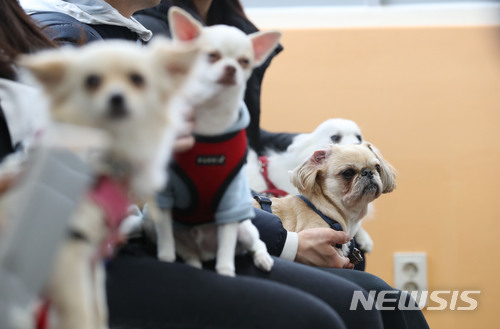 【서울=뉴시스】김진아 기자 = 반려견 행동학 강의 모습. 2018.04.08. bluesoda@newsis.com