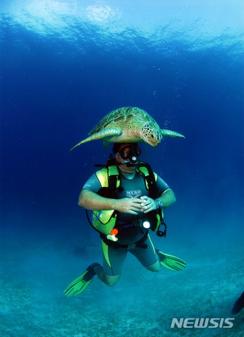 【서울=뉴시스】필리핀 팔라완 스쿠버 다이빙. (사진=필리핀 관광청 제공)