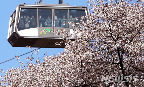 "전방주시 소홀했다"…남산 케이블카 운행담당 진술
