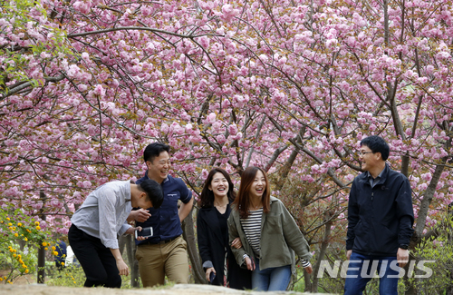 【전주=뉴시스】윤난슬 기자 = 완연한 봄날씨를 보인 13일 오후 전북 전주 완산공원 꽃동산을 찾은 시민들이 예년에 비해 10여 일 일찍 개화한 겹벚꽃 샛길을 걸으며 봄날의 추억을 만들고 있다. 2018.04.13.(사진=전주시 제공) photo@newsis.com