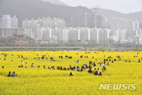 【부산=뉴시스】 하경민 기자 = 15일 부산 강서구 대저생태공원에서 열린 '제7회 부산낙동강 유채꽃축제'를 찾은 시민과 관광객들이 봄나들이를 즐기고 있다. 오는 22일까지 열리는 이번 축제에서는 단일 면적으로는 국내 최대 규모인 76만㎡의 유채꽃밭을 즐길 수 있다. 2018.04.15. yulnetphoto@newsis.com