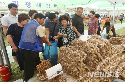 【단양=뉴시스】단양마늘축제. (사진=단양군 제공) photo@newsis.com