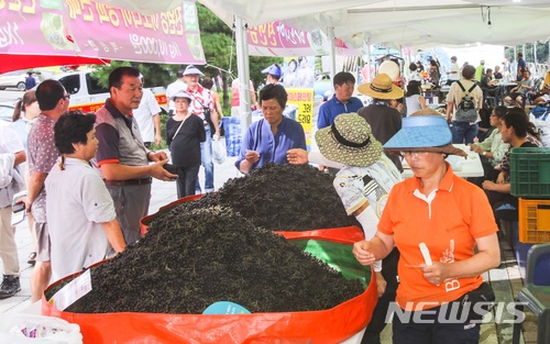 【단양=뉴시스】단양아로니아축제. (사진=단양군 제공) photo@newsis.com