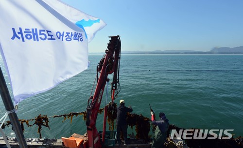 【서울=뉴시스】지난 4월20일 백령도 인근 해상 양식장에서 서해5도 어민들이 평화를 상징하는 한반도기를 어선에 달고 다시마 조업을 하고 있다. 2018.04.25. (사진=경인일보 제공) photo@newsis.com