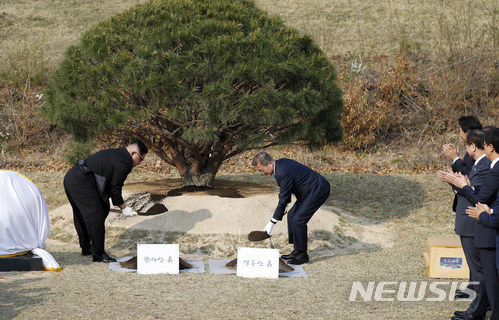 【판문점=뉴시스】전진환 기자 = 문재인 대통령과 김정은 국무위원장은 27일 오후 경기도 파주 판문점에서 함께 남측 군사분계선 인근 ‘소떼 길’에 소나무를 공동 식수 하고 있다. 2018.04.27.&nbsp; amin2@newsis.com