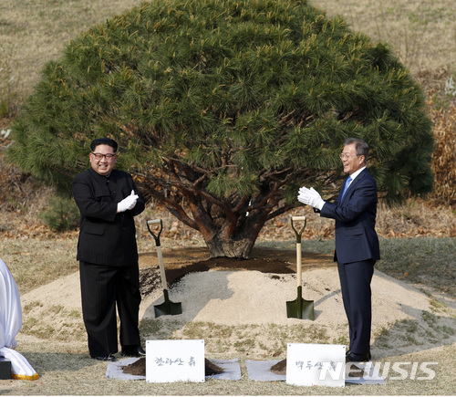 【판문점=뉴시스】전진환 기자 = 문재인 대통령과 김정은 국무위원장은 27일 오후 경기도 파주 판문점에서 함께 남측 군사분계선 인근 ‘소떼 길’에 소나무를 공동 식수 하고 있다. 2018.04.27.&nbsp;&nbsp; amin2@newsis.com