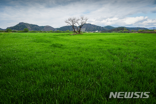 【김해=뉴시스】김해시 국제슬로시티 가입. 사진은 화포천 습지 전경