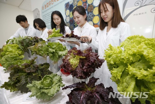 뉴시스 자료사진. photo@newsis.com