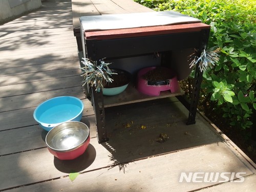 【서울=뉴시스】류병화 기자 = 서강대학교 내에서 길고양이 서식처를 마련해둔 모습. 2018.05.10. hwahwa@newsis.com