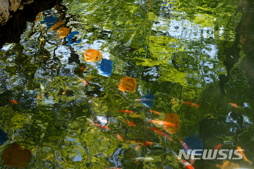 【하동=뉴시스】차용현 기자 = 부처님오신날을 12일 앞둔 10일 오후 경남 하동군 칠불사 영지에는 부처님 탄생을 기리는 연등이 반영돼 아름다운 모습을 연출하고 있다. 2018.05.10. con@newsis.com