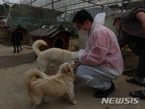   【안동=뉴시스】김진호 기자 = 6·13전국동시지방선거 경북 안동시장에 출마한 자유한국당 권기창 후보가 유기동물보호센터에서 자원봉사를 하고 있다. 2018.05.14 (사진=권기창 후보 선거사무소 제공)photo@newsis.com