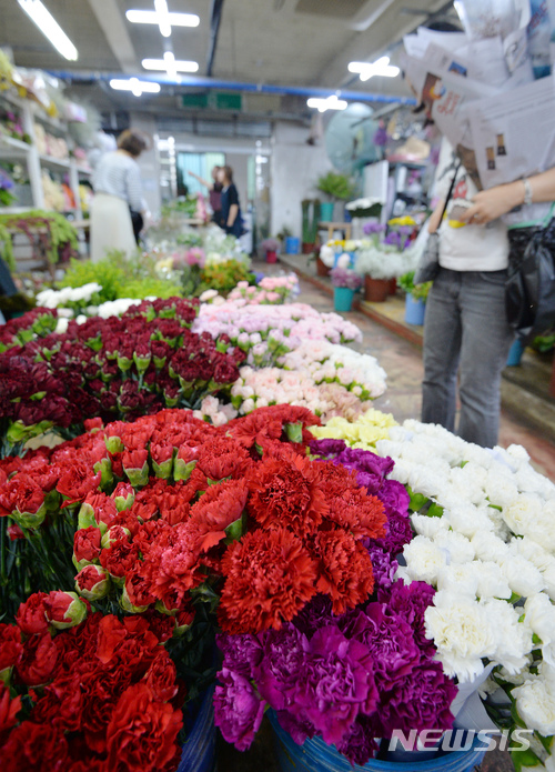 【대구=뉴시스】우종록 기자 = 스승의 날을 하루 앞둔 14일 오전 대구 북구 칠성동 대구꽃백화점을 찾은 시민이 카네이션을 살펴보고 있다. 2018.05.14.&nbsp; wjr@newsis.com 
