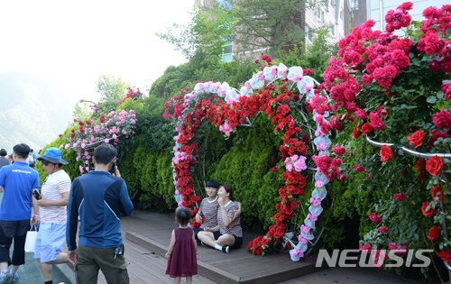 【단양=뉴시스】장미길 향연. (사진=단양군 제공) photo@newsis.com