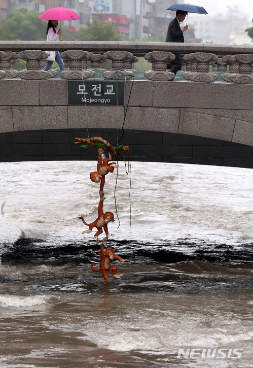 【서울=뉴시스】 추상철 기자 = 폭우가 이틀째 내린 17일 오전 서울 종로구 청계천에서 부처님오신날을 맞이해 설치된 원숭이 조형물이 물에 잠겨 있다. 2018.05.17.&nbsp; scchoo@newsis.com