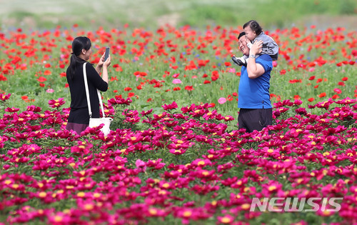 【서울=뉴시스】박주성 기자 = 화창한 봄날씨를 보인 20일 경남 함양군 함양읍 상림공원 경관단지를 찾은 가족과 관광객들이 만개한 개양귀비 꽃과 작약꽃등을 감상하며 휴일을 즐기고 있다. 2018.05.20. (사진=함양군 제공) photo@newsis.com