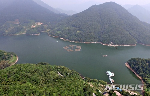 충주호 인공수초섬