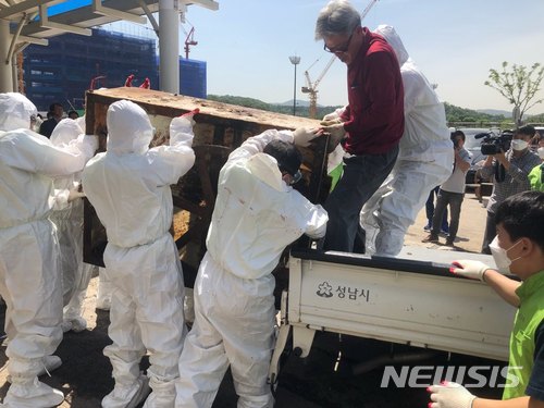 【성남=뉴시스】 이승호 기자 = 25일 오전 경기 성남시 중원구청 직원들이 모란시장 안에 유일하게 남았던 개 도축 시설을 강제 철거하고 있다.2018.05.25.(사진 = 성남시청 제공) photo@newsis.com