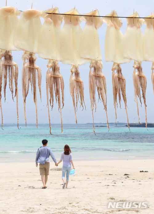 【제주=뉴시스】우장호 기자 = 맑은 날씨를 보인 27일 오후 제주시 구좌읍 월정리 월정해수욕장에 준치 오징어가 여름 햇살 아래 건조되고 있다. 2018.05.27. woo1223@newsis.com