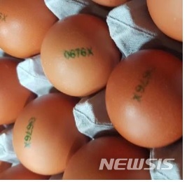 경기 파주 산란계 농장서 살충제 계란 또 검출