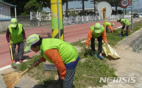 【영동=뉴시스】이성기 기자 = 충북 영동군은 노인일자리와 사회활동지원 사업이 지역 노인에게 새로운 활력을 불어넣고 있다고 30일 밝혔다. 사진은 환경지키미 활동을 하는 모습이다.201805.30(사진=영동군 제공) sklee@newsis.com&nbsp; 