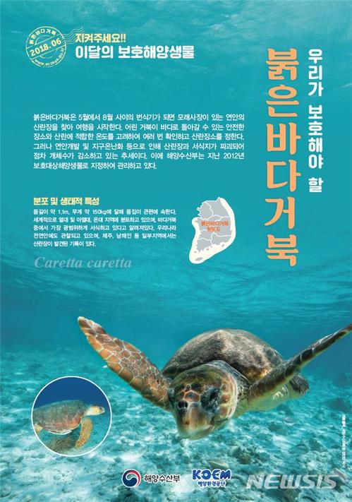 【서울=뉴시스】 6월 보호해양생물 '붉은바다거북' (제공 = 해수부)
