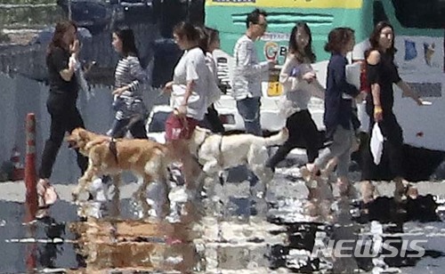 무더위에 이글거리는 도심. (사진=뉴시스 DB)