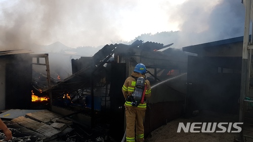 【홍천=뉴시스】박종우 기자 = 홍천소방서 소방대원이 2일 오전 강원 홍천군 남면의 한 축사에서 발생한 화재를 진압하고 있다. 2018.06.02.(사진=홍천소방서 제공) photo@newsis.com