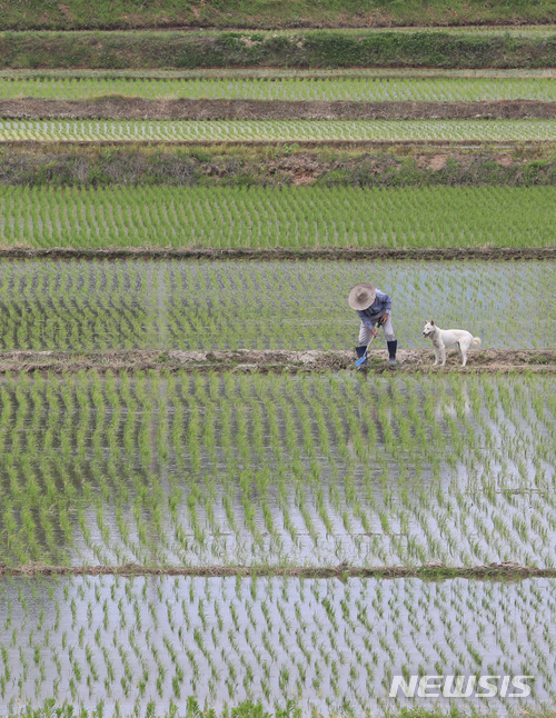 6월 모내기 물걱정 없다…농업용수 가뭄 정상