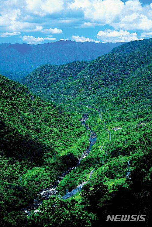 【서울=뉴시스】 퀸즐랜드 경찰은 7일(현지시간) 퀸즐랜드의 마운트 타이슨으로 혼자 등산을 갔다가 실종됐던 한국 여성 한모(25)씨가 이날 현지 경찰에 의해 구조됐다고 발표했다. 한씨는 지난 1일 혼자 등산에 나섰다가 길을 잃은 것으로 전해졌다. 경찰은 한씨 지인의 신고로 현지 군경과 헬기를 동원한 수색작업을 시작한 끝에 한씨를 구조할 수 있었다고 밝혔다. <출처: 구글> 2018.06.07.