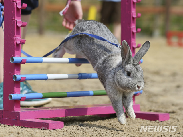 [원추 오늘의운세]토끼띠 ㄱ·ㅁ·ㅅ·ㅊ 성씨, 성질대로 말하지 마세요