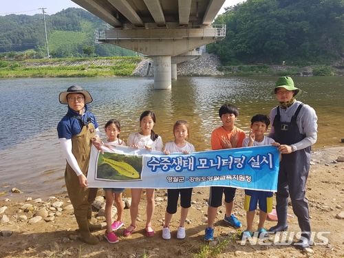 【영월=뉴시스】 한동윤 기자 = 강원 영월군 동강등 관내하천에서 수중생태모니터링 실시 2018.06.12abcd6528@newsis.com