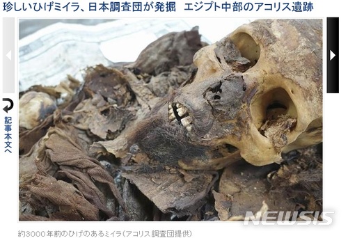 【서울=뉴시스】일본 조사단이 발굴한 고대 이집트 수염달린 미라.(사진출처: 산케이신문 홈페이지 캡처) 2018.06.12. 