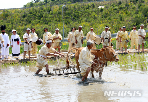  【안동=뉴시스】김진호 기자 = 안동저전동농요(경북 무형문화제 제2호) 정기발표회가 15일 경북 안동시 서후면 저전동농요전수관에서 열렸다. 2018.06.16 (사진=안동시 제공) photo@newsis.com