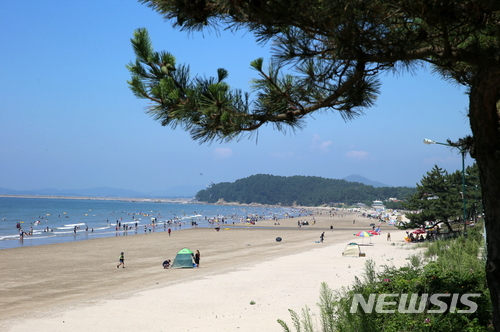 【서천=뉴시스】 서천 춘장대해수욕장. (사진=서천군청 제공)