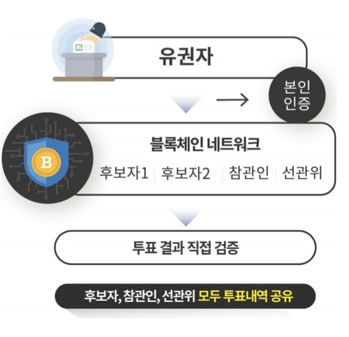 【서울=뉴시스】선관위와 협업하는 온라인 투표 시범 서비스. (과학기술정보통신부 제공)