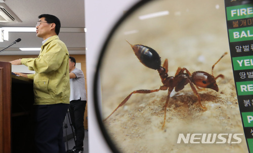 【세종=뉴시스】강종민 기자 = 노수현 농림축산검역본부 식물검역부장이 22일 오전 정부세종청사에서 붉은불개미 유입 확산 방지에 대한 정부의 총력 대응방안을 설명하고 있다. 2018.06.22.  ppkjm@newsis.com