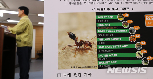 【세종=뉴시스】강종민 기자 = 노수현 농림축산검역본부 식물검역부장이 22일 오전 정부세종청사에서 붉은불개미 유입 확산 방지에 대한 정부의 총력 대응방안을 설명하고 있다. 2018.06.22. ppkjm@newsis.com