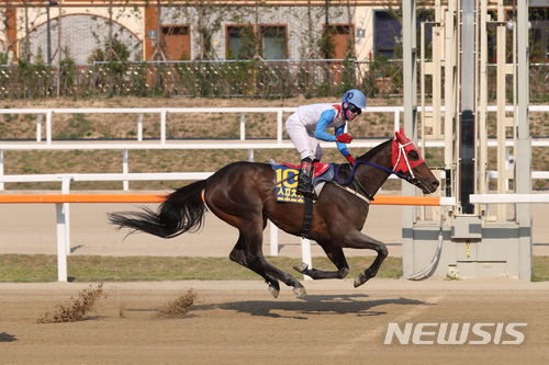 검빛강자, 지난해 6월18일 스포츠조선배